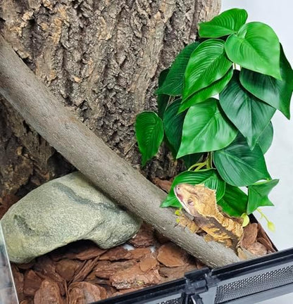 Woyrise Fake Reptile Plants for Terrarium,Tank Decor, Artificial Plant