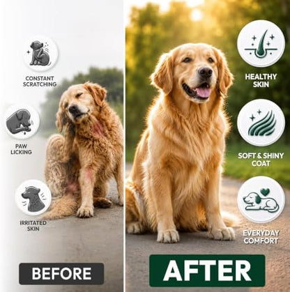 Dog Allergy Relief Chews 170 Count Anti Itch Skin & Immune Support for Dogs