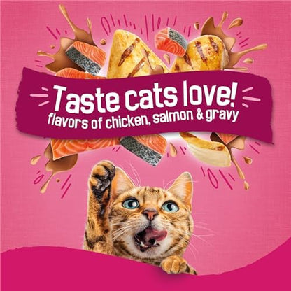Friskies Purina Gravy Swirlers Dry Cat Food, Chicken & Salmon, 16 lb Bag