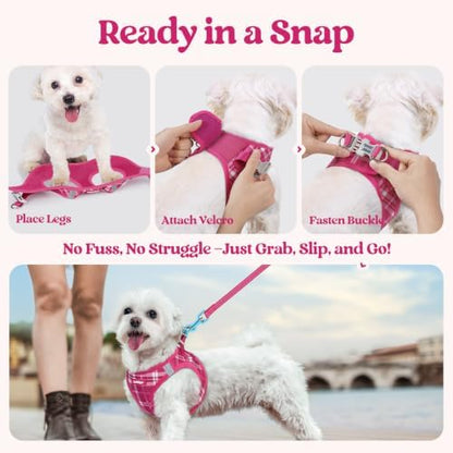 rabbitgoo Dog Harness Medium Sized and Leash Set, Step-in Puppy Pet Vest
