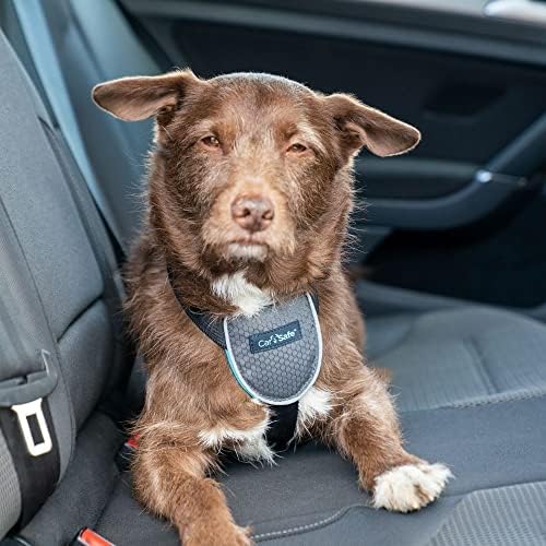 CarSafe Dog Travel Car Harness | Size S