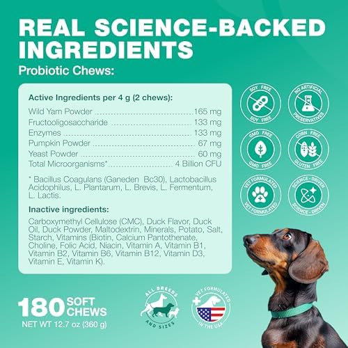 Probiotics for Dogs Gut & Digestive Health, Itchy Skin & Yeast Support