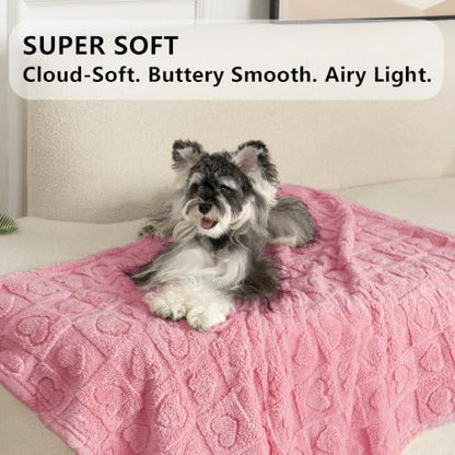 gogobunny Pet Blanket for Dogs Cats, 300GSM Ultra Soft Coral Fleece Blanket, Washable Small Dog Cat Blanket, Calming Crate Mat, Furniture Protector for Couch Bed Car Seat, Pink, 30x40IN