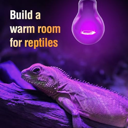 Leoterra Purple Moonlight Night Heat Lamp 2PACK 50W 10-20 Gallons Tank Use Heat Bulb for Lizard Bearded Dragon Leopard Snake Turtle,Easy to Install 2000+ Hours, Fits E26 110v
