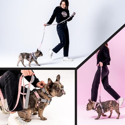 Wolfgang 1 Inch Venture Dog Leash Houndspink Print Small