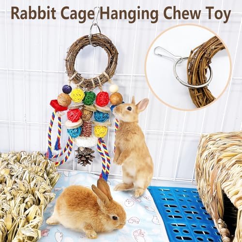 Bunny Chew Treat Toy for Teeth, Rabbit Cage Hanging Chew Toys and Rattan Ring with Snack,Natural Material Handwoven Chinchilla Treats Toys for Guinea Pig Gerbils Hamster Rat Teeth Grinding
