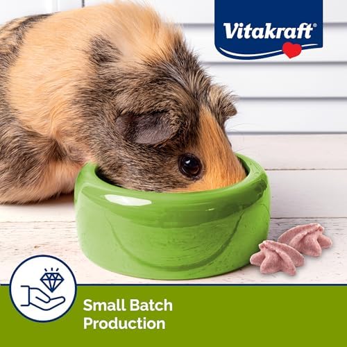 Vitakraft Drops Rabbit Guinea Pig Hamster Treats Watermelon Flavor 4.4 Ounce Bag Delicious Yogurt Enriched Drops with Fruity Flavor Nutritious Small Animal Snacks for Rabbits Guinea Pigs and Hamsters