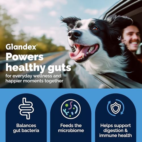 Vetnique Glandex Probiotics for Dogs Powder 8.5oz + Prebiotics & Enzymes