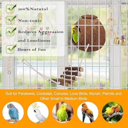 16 Pack Bird Toys for Cockatiel Parrots Parakeet Budgie Conures
