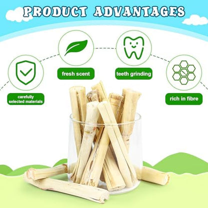 800g/1.76lb Bunny Toys Sweet Bamboo Sticks for Rabbits Bunny Chew Toys Molar Treats Snack for Small Animals Hamsters Chinchillas Guinea Pigs