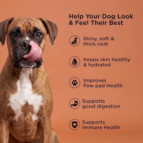 Go! Solutions Skin + Coat Care Salmon Dry Dog Food, 3.5 lb