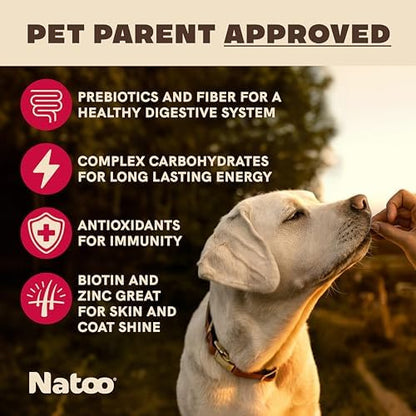 NATOO Biscuits for Small Dogs & Puppies, Oats & Berry, 8 oz