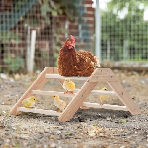 PETSFIT Baby Chick Roosting Bar, Anti-Rotation, Solid Wood, for Brooder