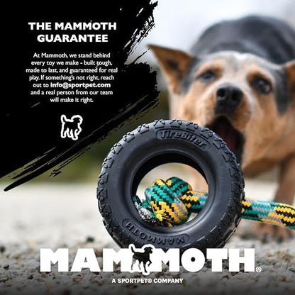 Mammoth Guardian Dog Kennel - Roll Cage and Tethers