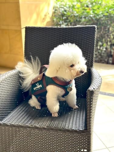 Wakytu Dog Lift Harness Dog Carrier Sling for Small Dogs & Cats,XS