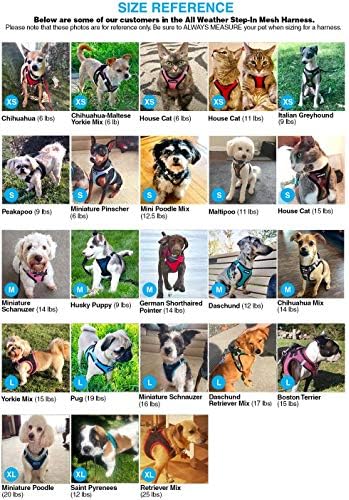 Voyager Step-in Air Dog Harness w/Leash - All Weather Mesh Step in Vest Harness for Small and Medium Dogs by Best Pet Supplies - Black, M (Pack of 2)