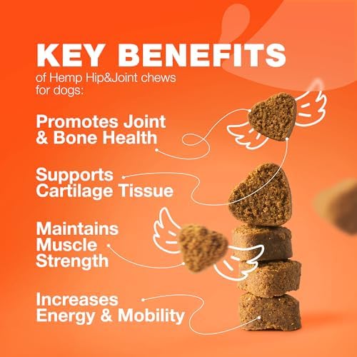 Hip & Joint Chews for Dogs – Glucosamine Joint Supplement for Mobility