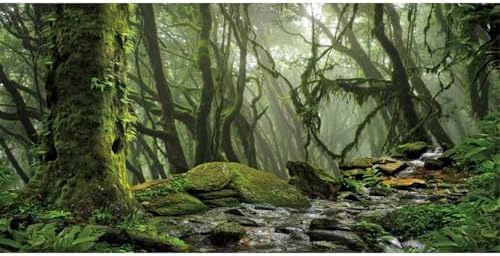 36x18 in Terrarium Backdrop Foggy Forest Stream Reptile Habitat Background