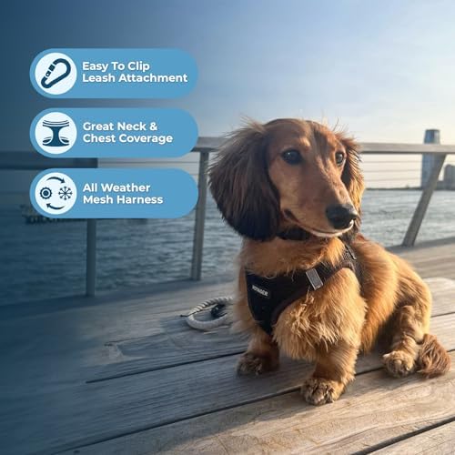 Voyager Step-in Air Dog Vest Harness - Black/Black Trim, Large