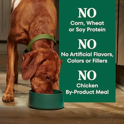 Nutro Natural Choice Dry Dog Food, Salmon & Brown Rice Recipe, 4.5 lb