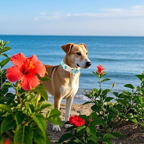 DOGWONG Spring Pink Floral Cotton Dog Collar for Small Medium Large Dogs XS