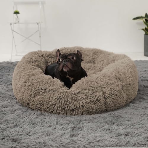 Hachikitty Calming Donut Cuddler Dog Beds, Medium & Large, 24''