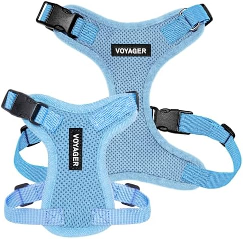 Voyager Step-in Lock Dog Harness - Baby Blue, Small