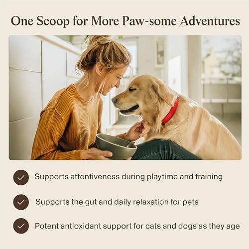 Real Mushrooms Lion’s Mane with Qrill Pet - Lion's Mane for Dogs and Cats with Krill Meal, Beta-Glucan Rich Mushroom Extracts for Immune, Digestion, and Brain Support for Puppies and Kittens, 75g