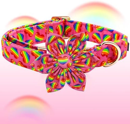 Elegant little tail LGBT Dog Collar, Rainbow Dog Collars with Flower Puppy LGBT for Pride Month Pet Flower Holiday Pet Sturdy Dog Girl Boy Adjustable Dog Collar for X-Small Dogs