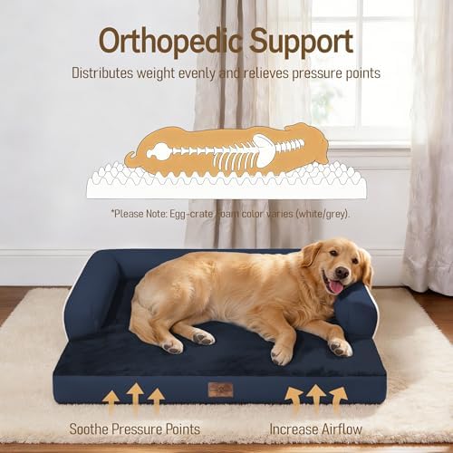 Comfort Expression Orthopedic XL Dog Bed for Large and Extra Large Dogs