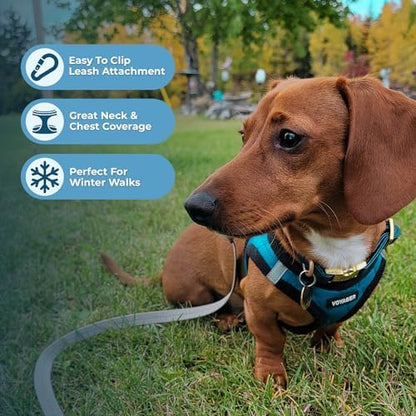 Best Pet Supplies Voyager Step-in Plush Dog Harness - Soft, Step in Vest Harness and Reflective Dog 5 ft Leash Combo with Neoprene Handle for Small and Medium Dogs, Turquoise Plush, S