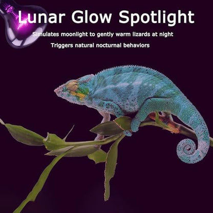 75W Reptile Night Light Bulb, UVA Heat Lamp, Purple Basking Lamp