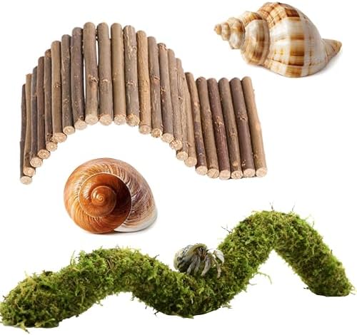 Hermit Crab Accessories, Natural Adjustable Hermit Crab Climbing Toys Bendable Bridge, Coconut Shell Hideout Hut, Plants for Reptiles & Amphibians Supplies (A-Group-4PCS)