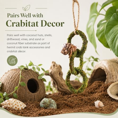 Hermit Crab Climbing Toy, Hanging Moss Climbing Rings for Hermit Crab Tank Accessories, 11 in Crabitat Decor with Rope, Textured Hermit Crab Climbing Accessory for Small Hermit Crabs
