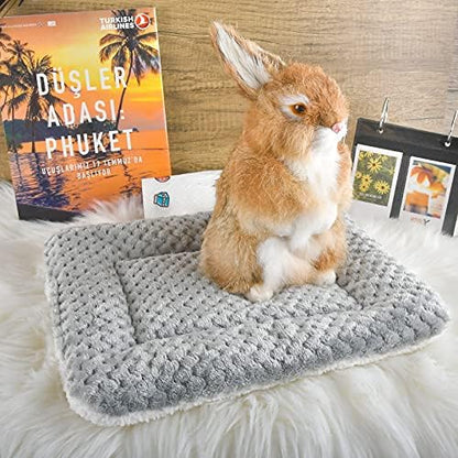 Small Animal Bed Mat, Soft & Warm, Suitable for Guinea Pig, Hamster, Rabbit, Rat and Bearded Dragon (XX-Large(19.7''x15.7''), Mesh Grey)