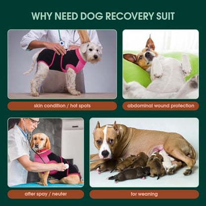 Kuoser Dog Recovery Suit, Female Male Spay Neuter Surgery Suit, Black, XXL
