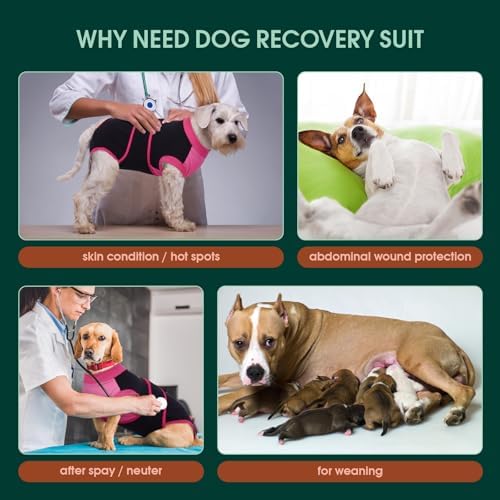 Kuoser Dog Recovery Suit, Female Male Spay Neuter Surgery Suit, Black, XS