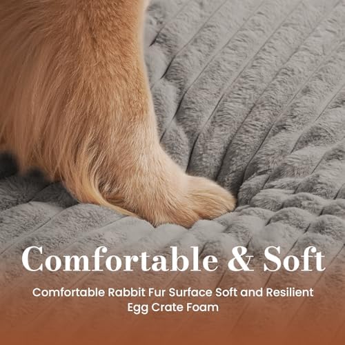 Extra Large Dog Bed Orthopedic Foam with Waterproof Lining
