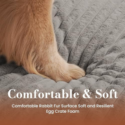 Extra Large Dog Bed Orthopedic Foam with Waterproof Lining