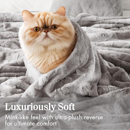 Madison Park Zuri Ultra Soft Faux Fur Twin Blanket Reversible, Grey