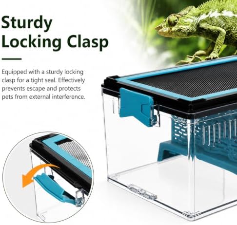 4 Pcs Feeding Container Complete Kit, 10x5.8x4.13 Inch