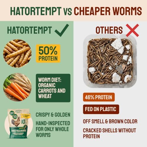 Hatortempt 2lb Dried Mealworms for Wild Birds & Chickens, Wild Bird Food