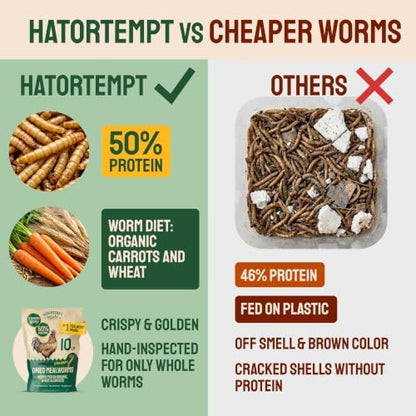 Hatortempt 2lb Dried Mealworms for Wild Birds & Chickens, Wild Bird Food