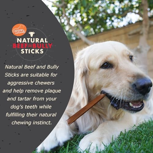 Canine Naturals Beef and Bully Sticks for Dogs, Medium, Bulk, 48 Count