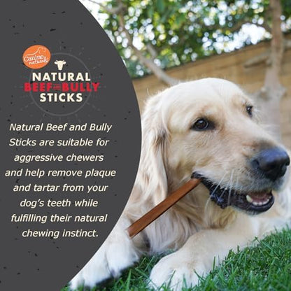 Canine Naturals Beef and Bully Sticks for Dogs, Odor Free, Medium 4 Count