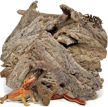 BNOSDM Reptiles Cork Bark Substrate,1.4lb Bearded Dragon Champagne Cork Bark Flats Hide Climbing,Reptiles Wood Bedding Terrarium Decor Tank Accessories for Lizards Snake Gecko Tarantula Isopods（L）
