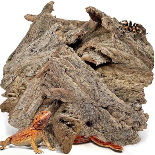 BNOSDM Reptiles Cork Bark Substrate,1.4lb Bearded Dragon Champagne Cork Bark Flats Hide Climbing,Reptiles Wood Bedding Terrarium Decor Tank Accessories for Lizards Snake Gecko Tarantula Isopods（L）
