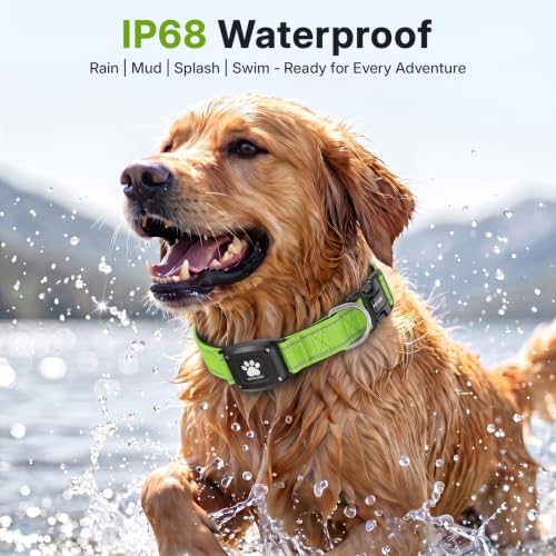 GPS Dog Collar with Tracker, Waterproof, No Monthly Fee, Green, L
