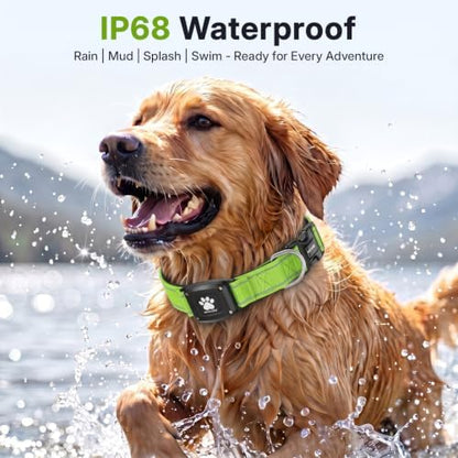 GPS Dog Collar with Tracker, Waterproof, No Monthly Fee, Green, S
