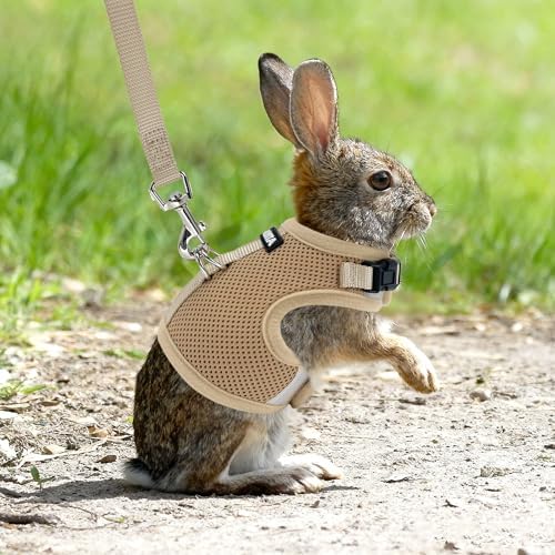 AIITLE Breathable Bunny Harness and Leash Set Escape Proof, Beige S